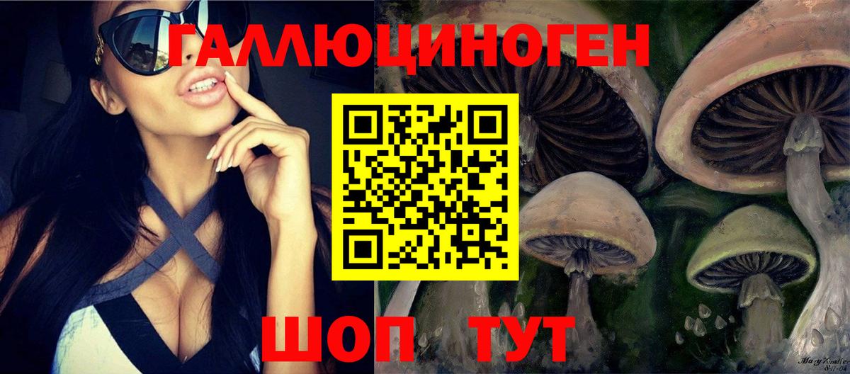 Псилоцибиновые грибы мицелий Кировск
