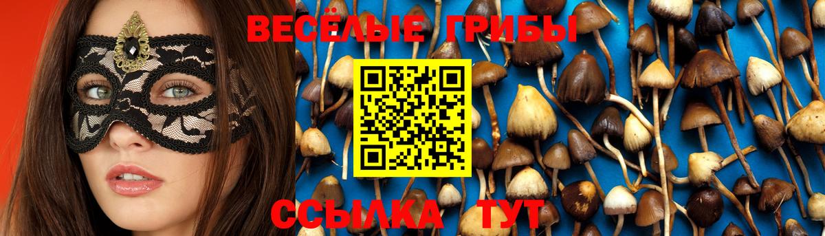 Галлюциногенные грибы Magic Shrooms  Вход с VPN  Галлюциногенные грибы мухоморы  Кировск 